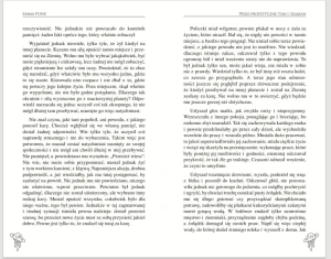 palimpsest _ szaman _02.jpg